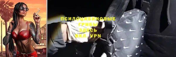 тгк Лиски