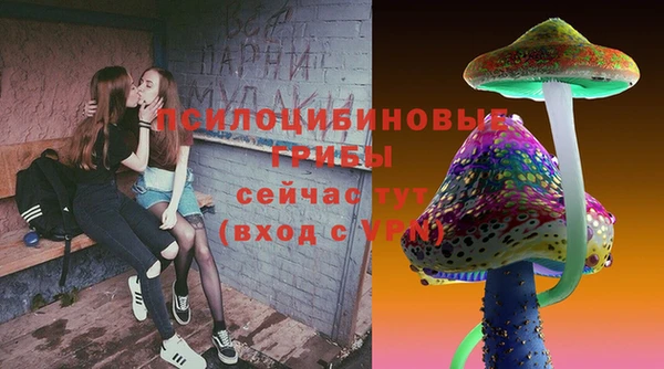тгк Лиски