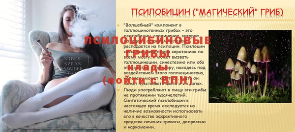 тгк Лиски