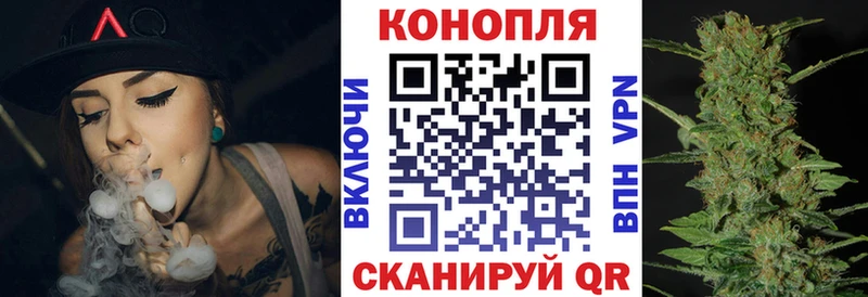 Бошки марихуана гибрид  наркота  Орлов 